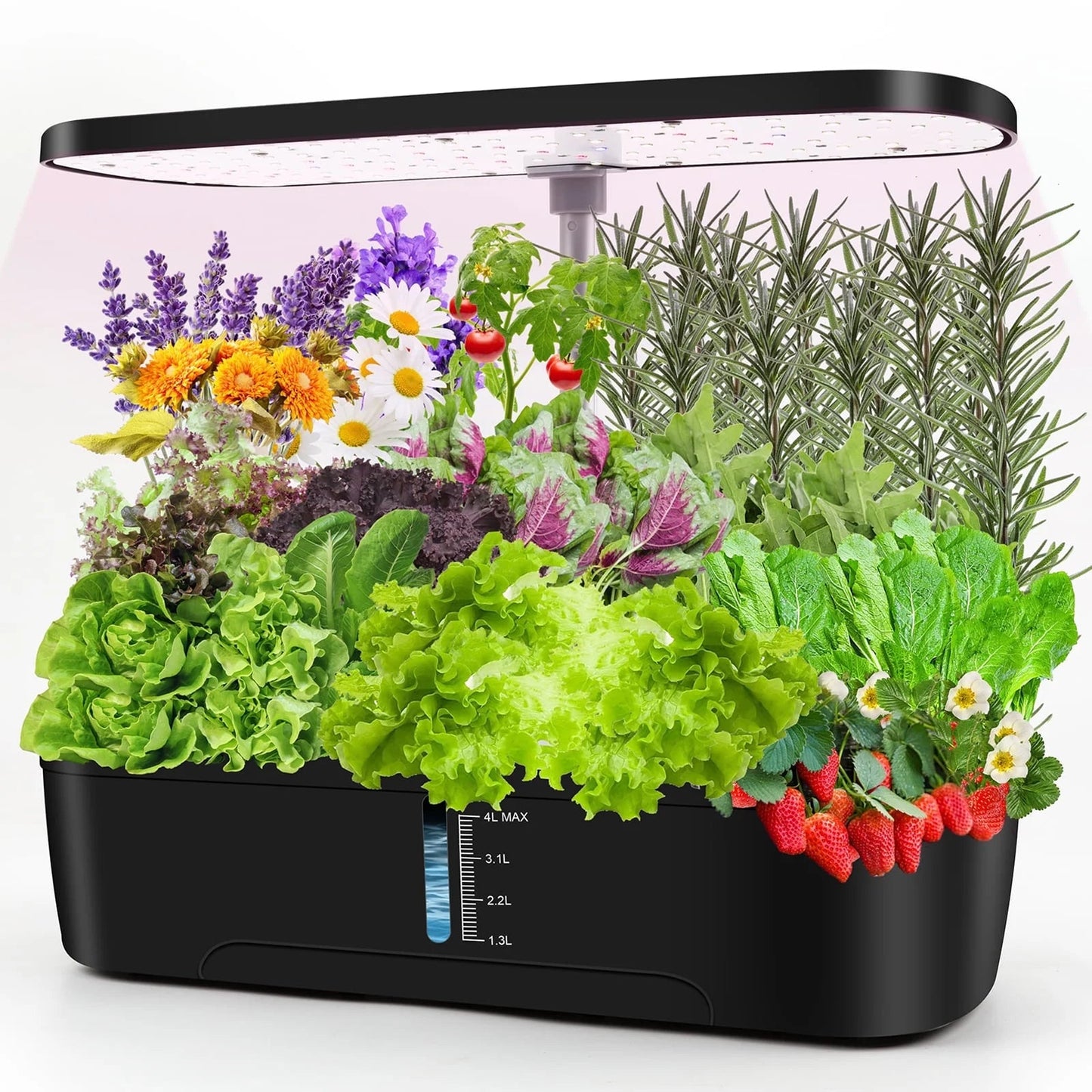 12 Pods Hydroponics Growing System, Indoor Herb Garden Kit with Grow Lights, Height Adjustable Planting Germination Kit with Pump, Gardening Gifts Home Decor