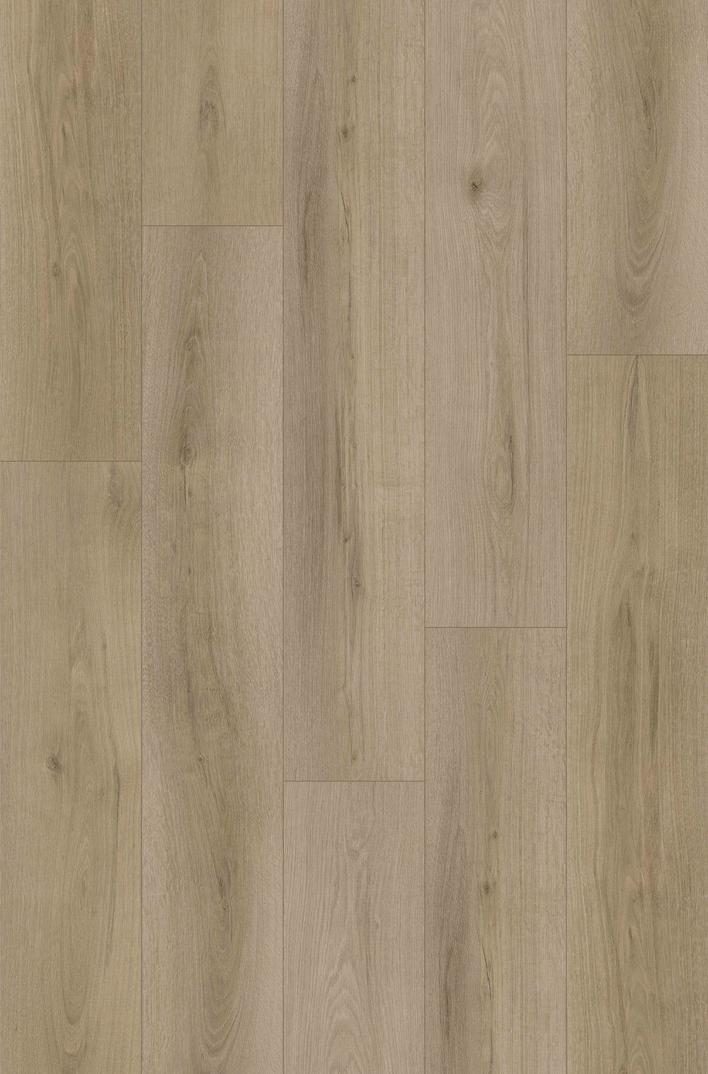 Echo Lane                                                (3.99sqf/19.24sqf.box)
