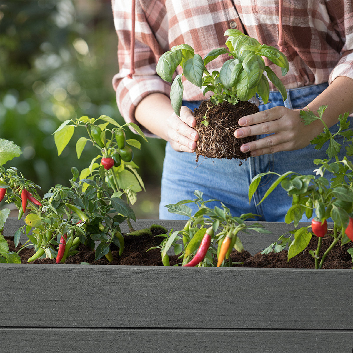 Darwin 29 Gallon Raised Garden Bed and Self Watering Planter Box