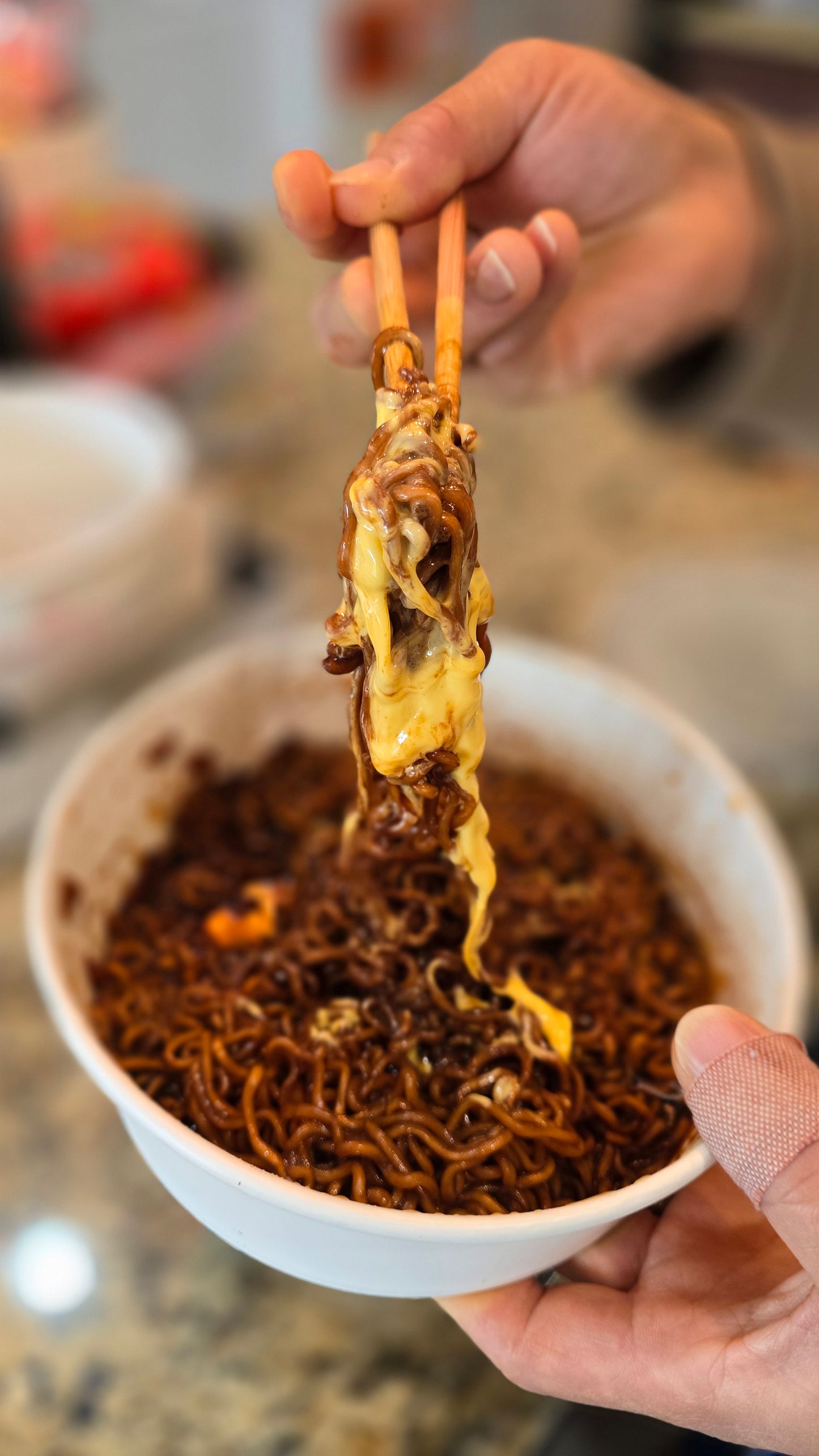 HAUSCOOK Multi Cooker 1pcs)+Hauscook Ramen Bowl 300pcs(1box) +HausCook Cooker Container Guide$899