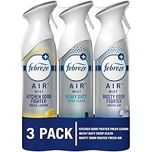 Air Mist Air Freshener Spray – Odor-Fighting Room Spray for Home, Bathroom & Kitchen, Multiple Scents