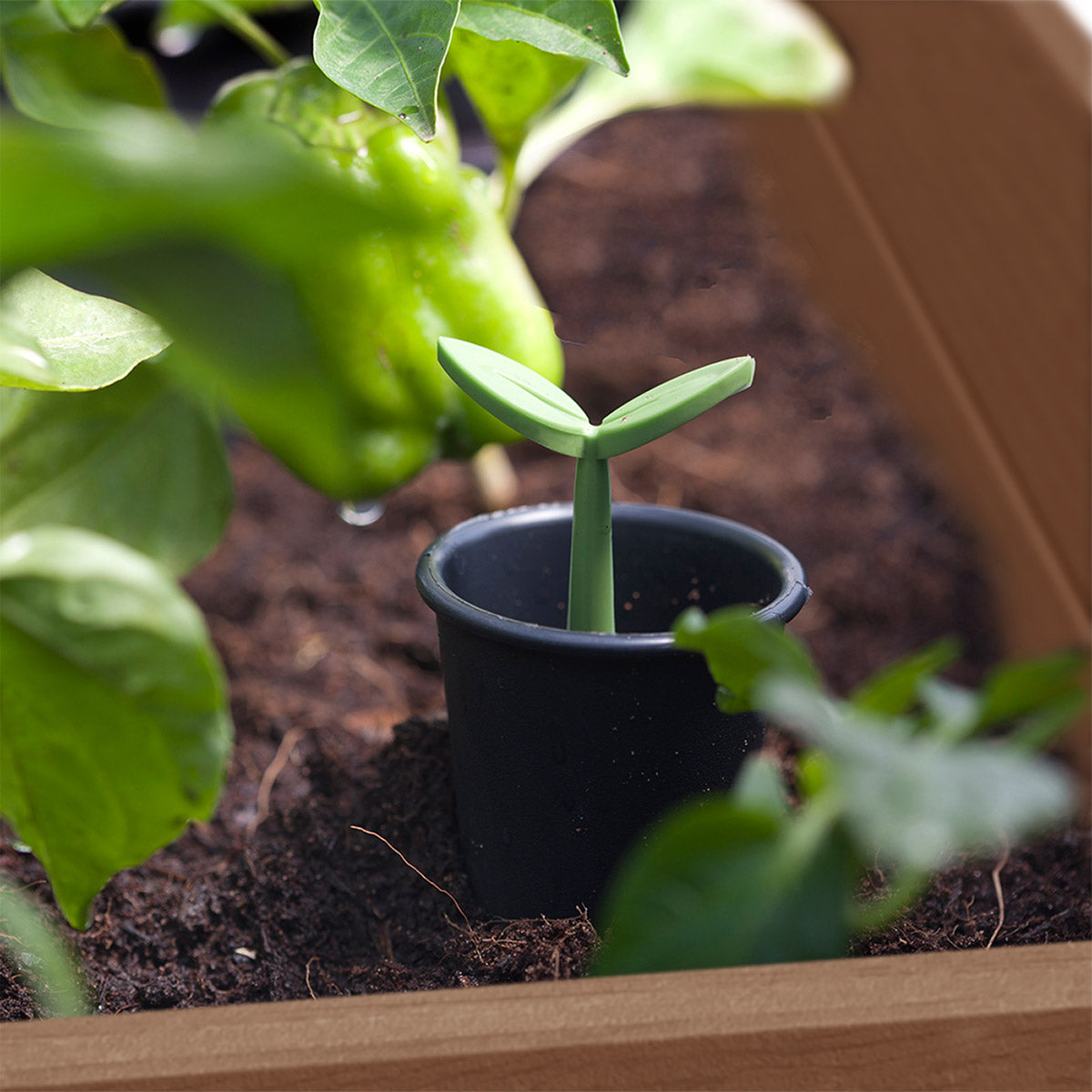 Darwin 29 Gallon Raised Garden Bed and Self Watering Planter Box