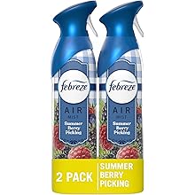 Air Mist Air Freshener Spray, Odor-Fighting Room Spray, Air Fresheners for Home and Bathroom and Kitchen, Aerosol Can,  Scent, 8.8Oz, 2 Count