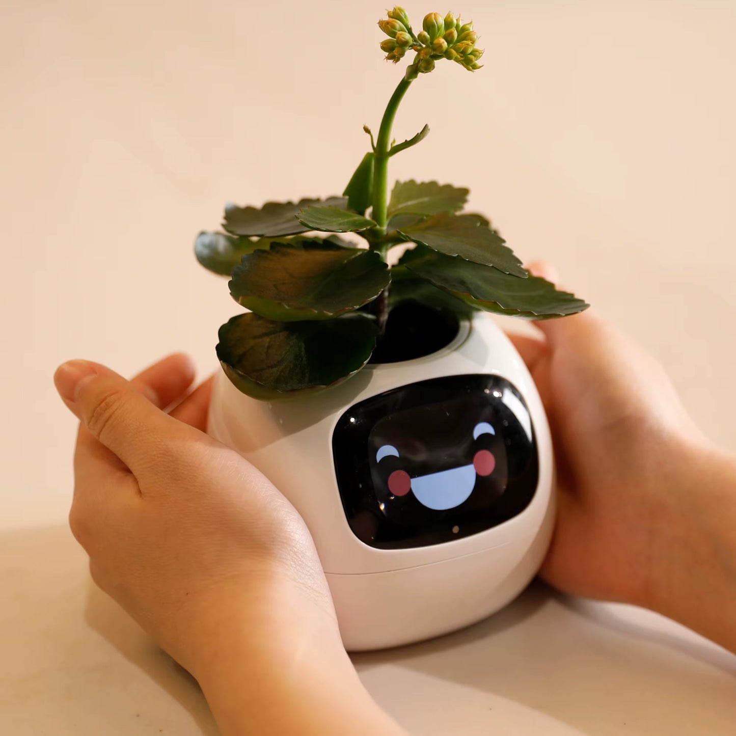 Popular New Mini Smart Flower Pot Display Smart Flower Pot Smart Planter APP Control Flower Pot