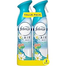 Air Mist Air Freshener Spray, Odor-Fighting Room Spray, Air Fresheners for Home and Bathroom and Kitchen, Aerosol Can,  Scent, 8.8Oz, 2 Count