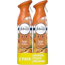 Air Mist Air Freshener Spray, Odor-Fighting Room Spray, Air Fresheners for Home and Bathroom and Kitchen, Aerosol Can,  Scent, 8.8Oz, 2 Count