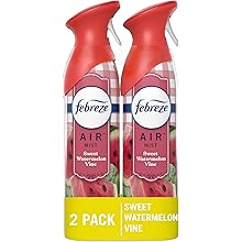Air Mist Air Freshener Spray, Odor-Fighting Room Spray, Air Fresheners for Home and Bathroom and Kitchen, Aerosol Can,  Scent, 8.8Oz, 2 Count