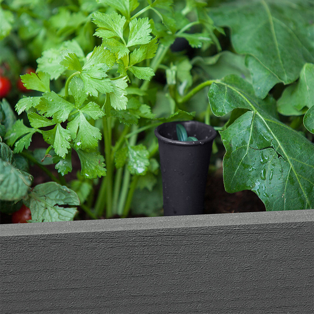 Darwin 29 Gallon Raised Garden Bed and Self Watering Planter Box