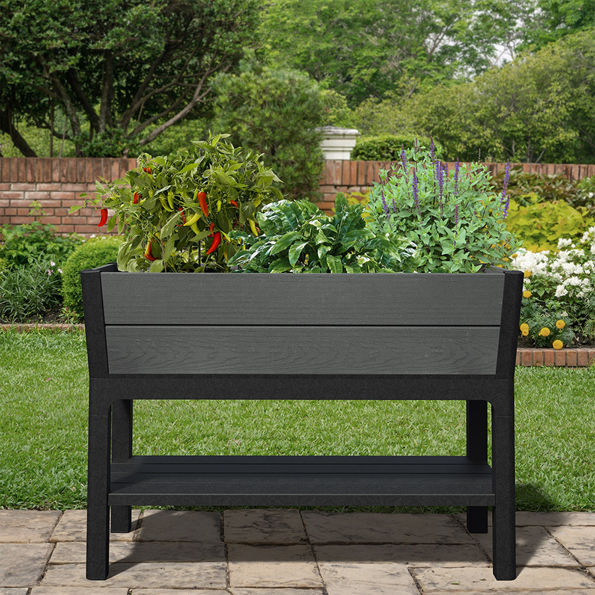 Darwin 29 Gallon Raised Garden Bed and Self Watering Planter Box