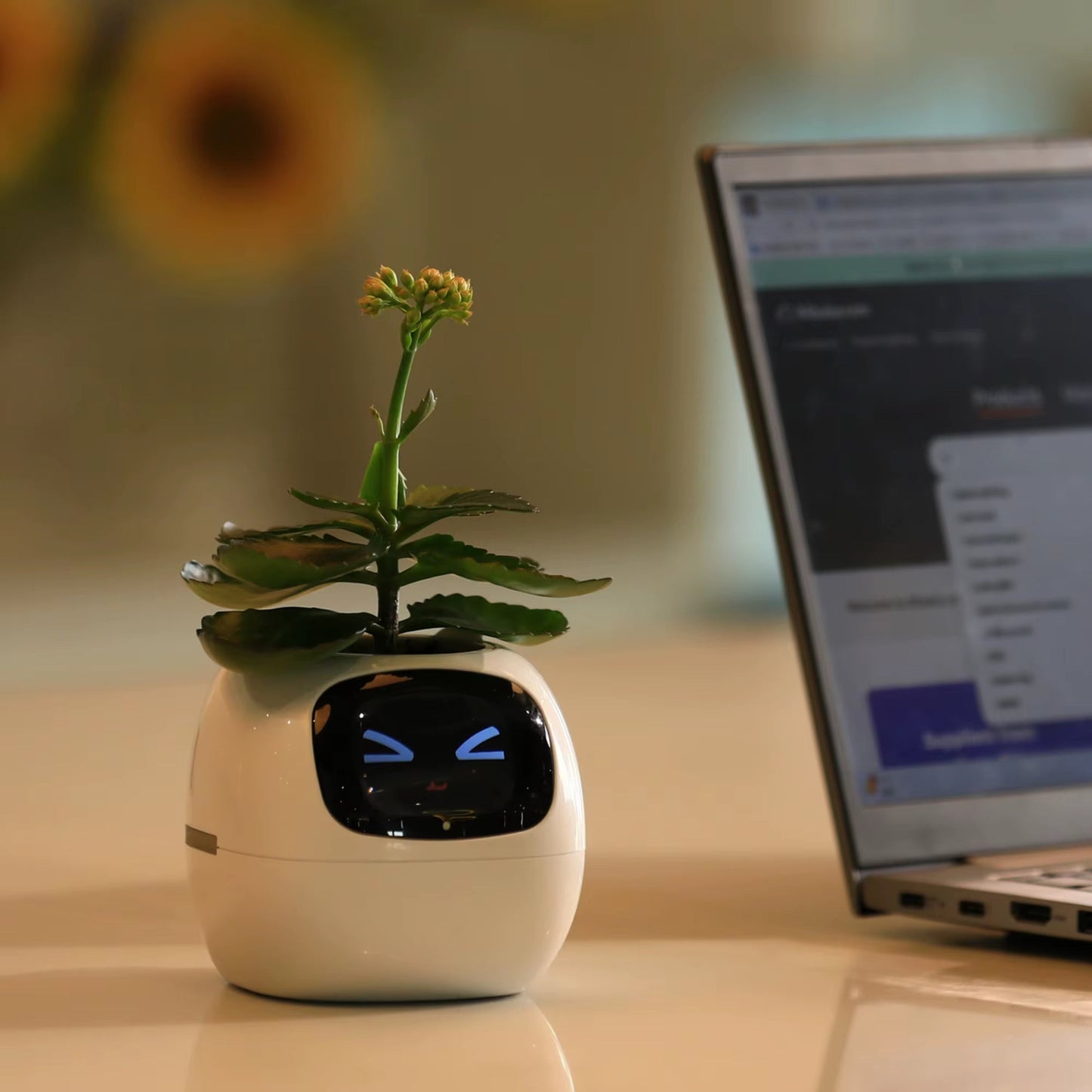 Popular New Mini Smart Flower Pot Display Smart Flower Pot Smart Planter APP Control Flower Pot