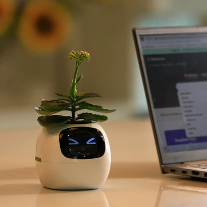 Popular New Mini Smart Flower Pot Display Smart Flower Pot Smart Planter APP Control Flower Pot