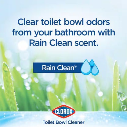 24 Oz. Rain Clean Toilet Bowl Cleaner with Bleach (4-Pack)