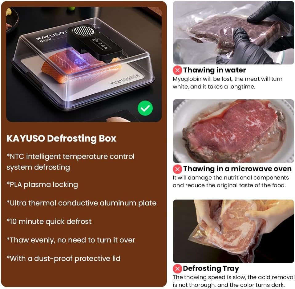 Quick Defrosting Tray for Frozen Meat - Rechargeable Meat Defrosting Tray with Lid, Timable Thawing Box for Frozen Food, Suitable for Frozen Steak, Chicken, Fish, Shrimp and Seafood (Black)